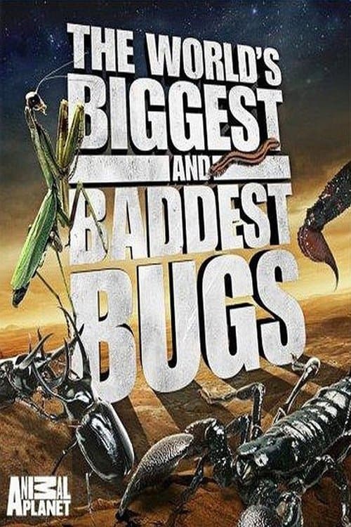 The World's Biggest and Baddest Bugs