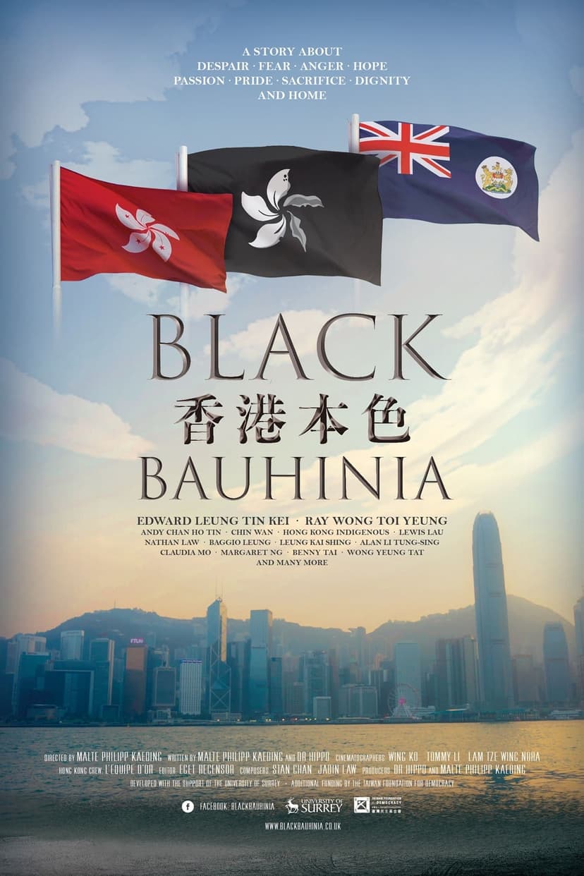 Black Bauhinia