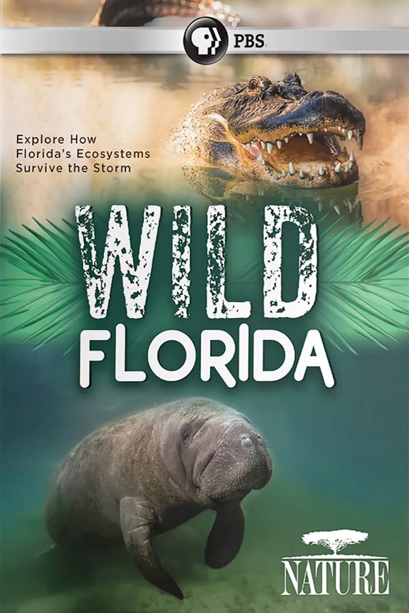 Wild Florida