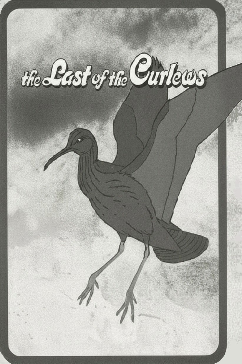 The Last of the Curlews