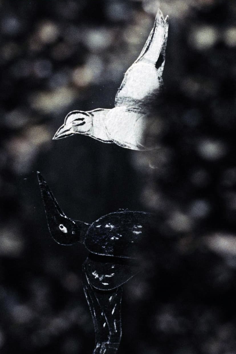 Der lange Weg