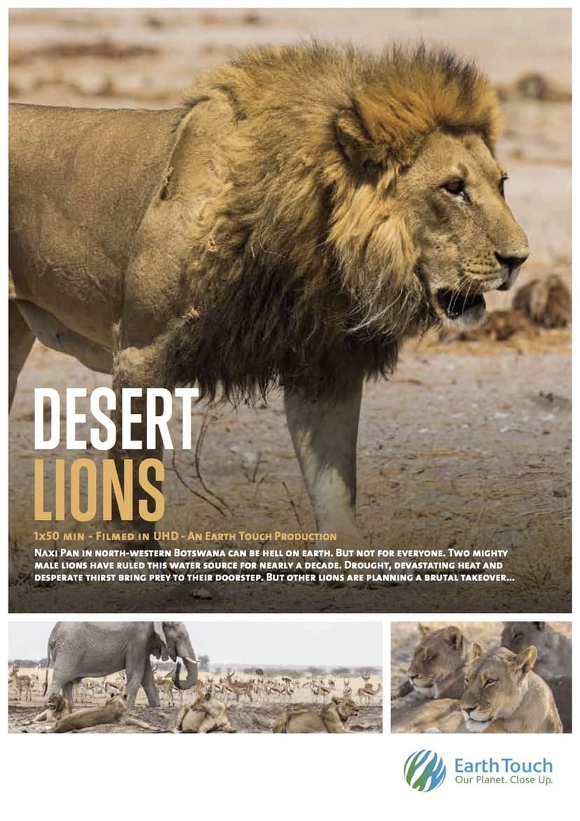 Desert Lions