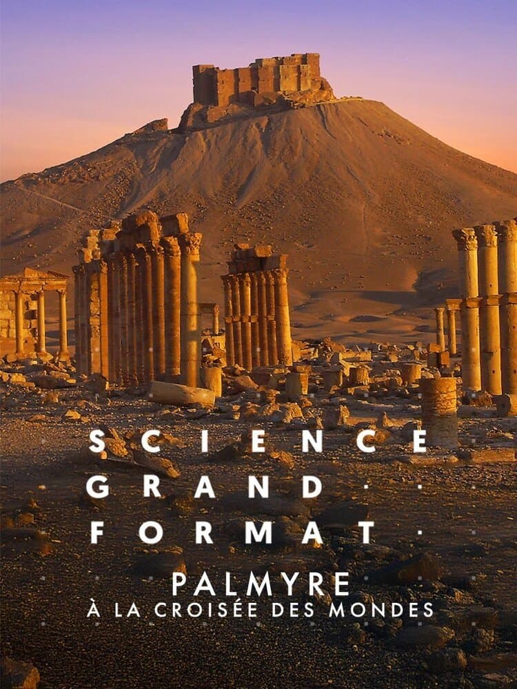 Palmyre, à la croisée des mondes