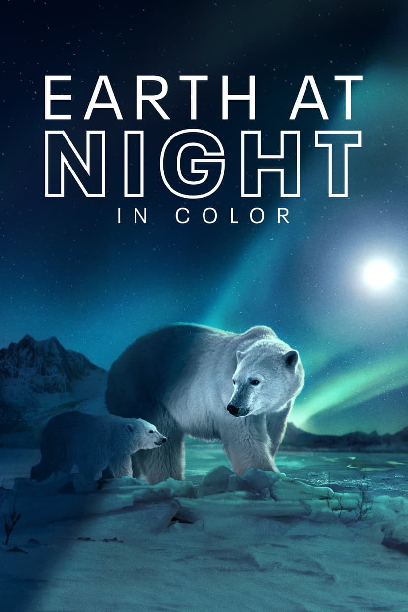 Earth at Night in Colour