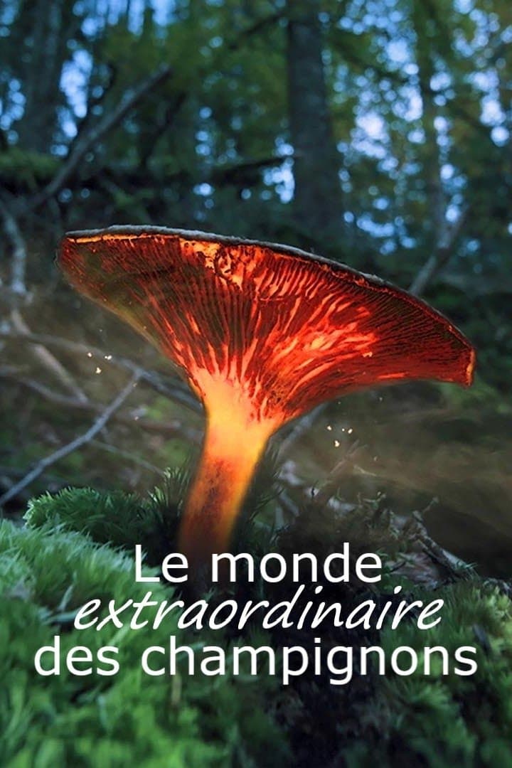 Le monde extraordinaire des champignons