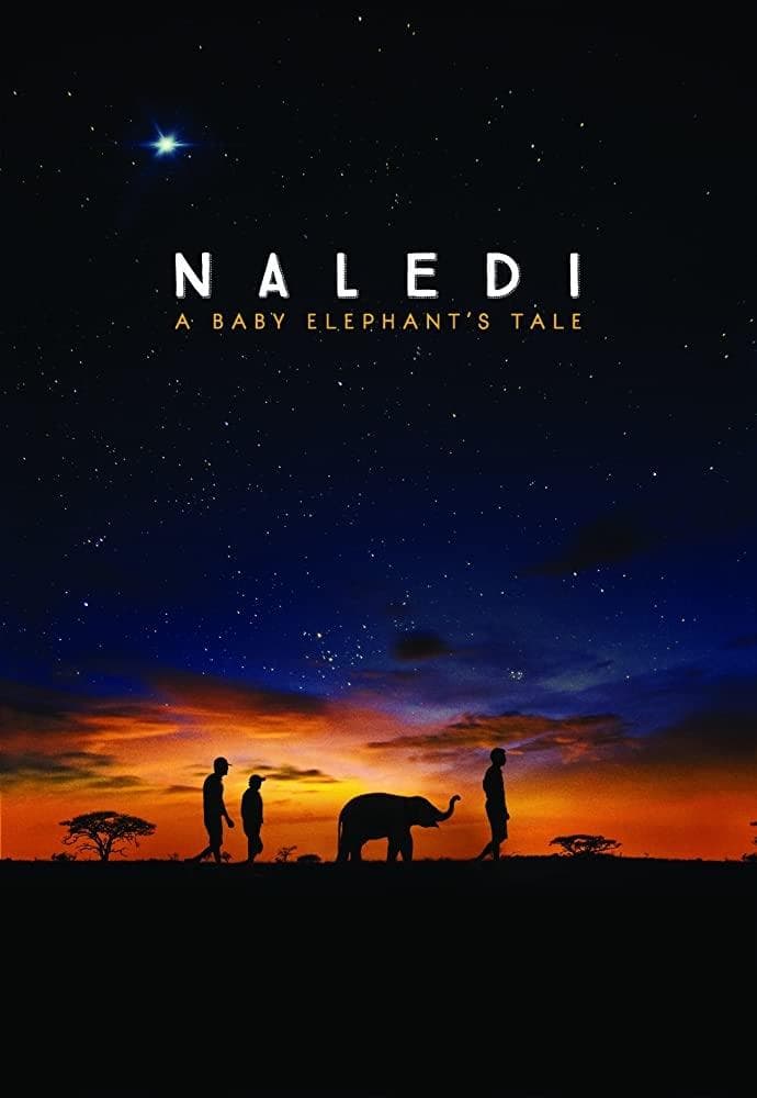 Naledi: A Baby Elephant's Tale